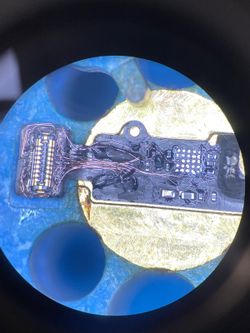 Iphone 7 home botton