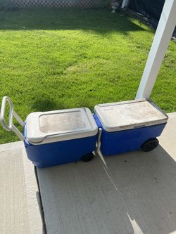 Cooler On Wheels