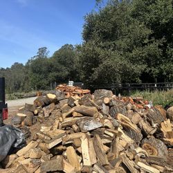 Oak Wood