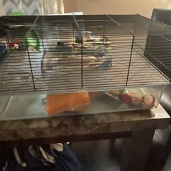 Hampster Cage 