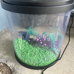 3-5 Gallon Fish tank