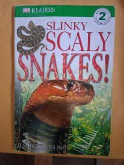 Silky scars snacks