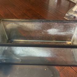 20 Gallon Tank