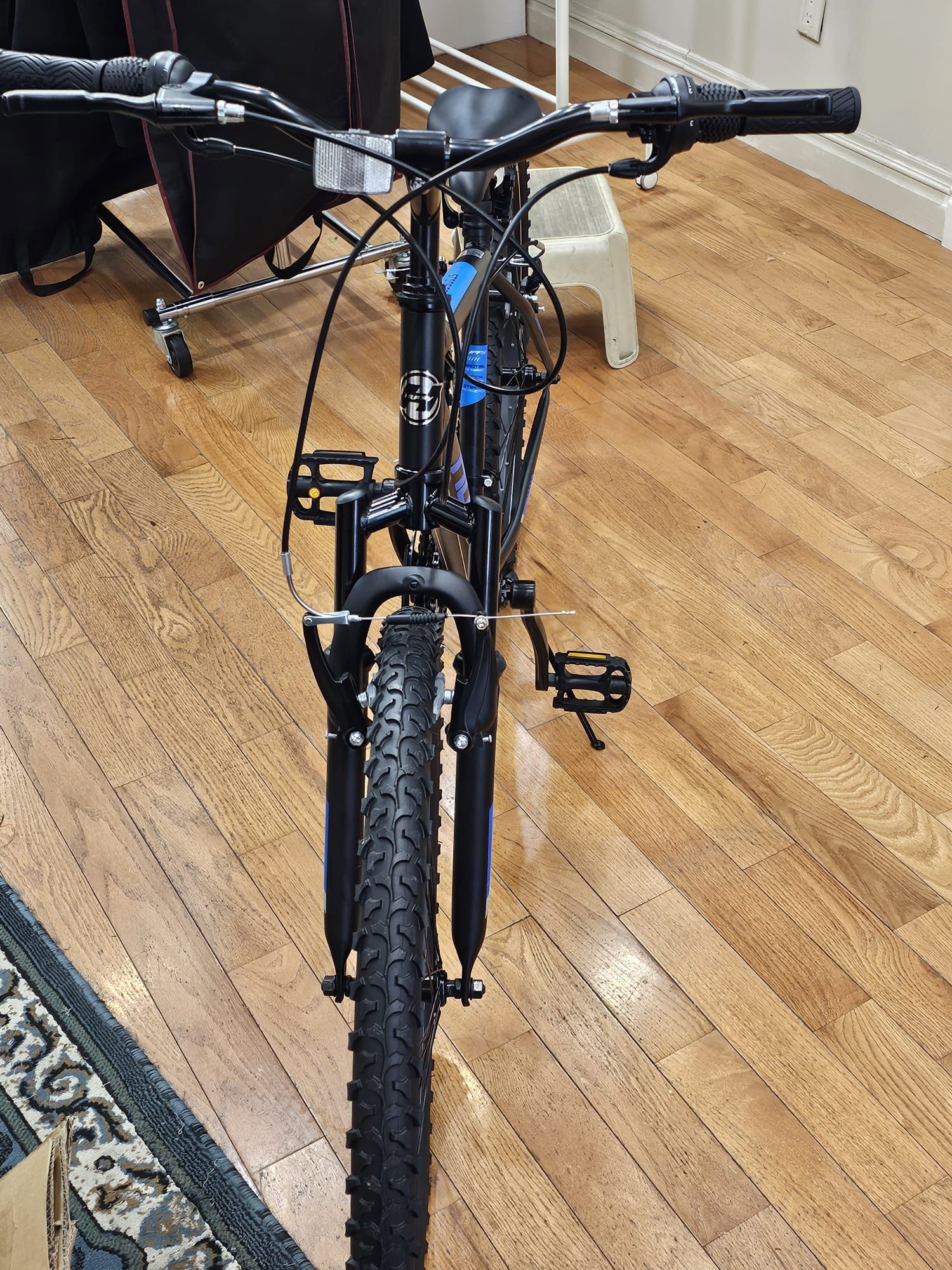 Men/ Boys Bike
