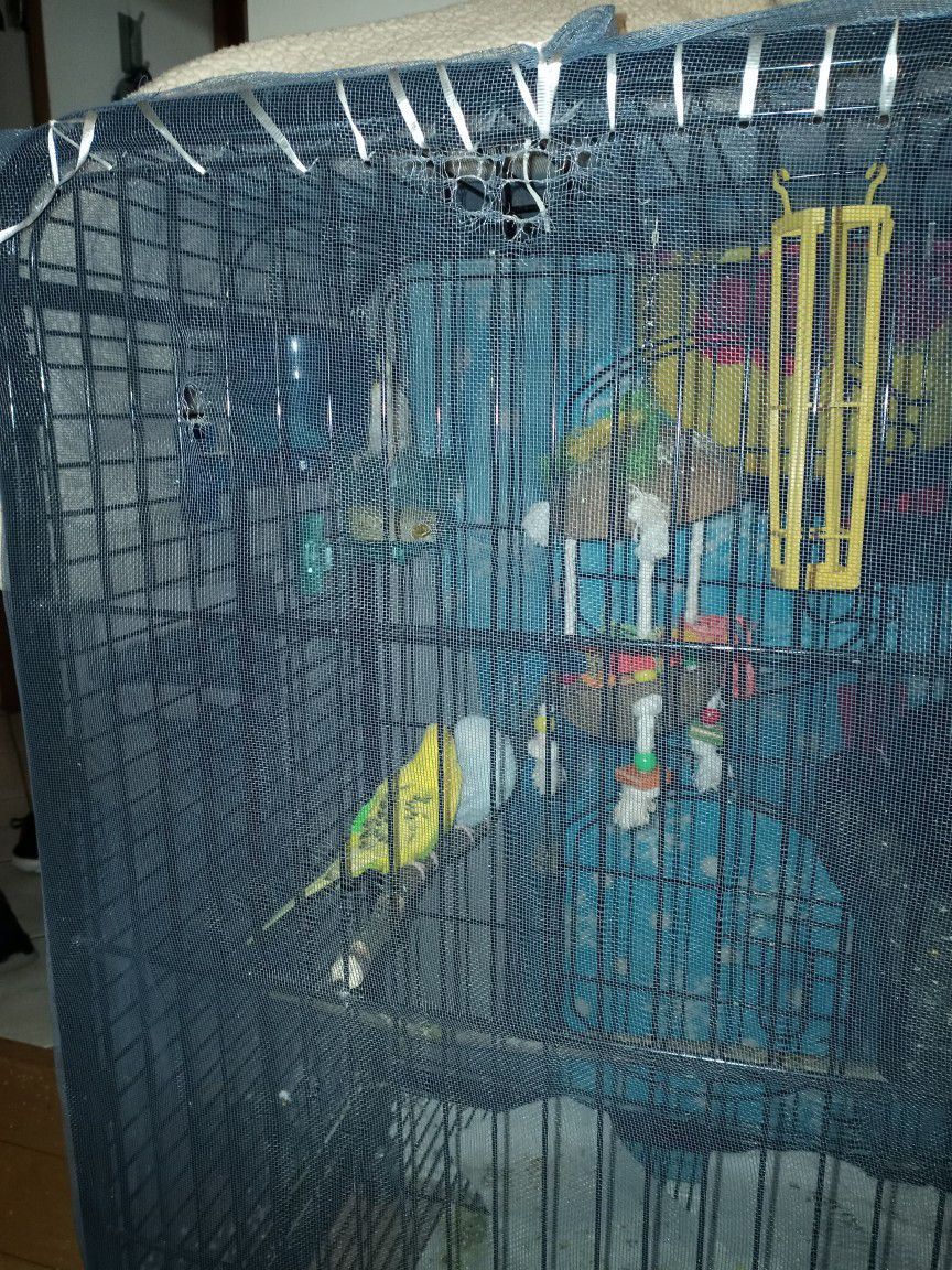 Birds With Cage and Food. 