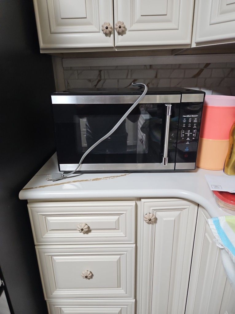 Microwave 1000 Watts
