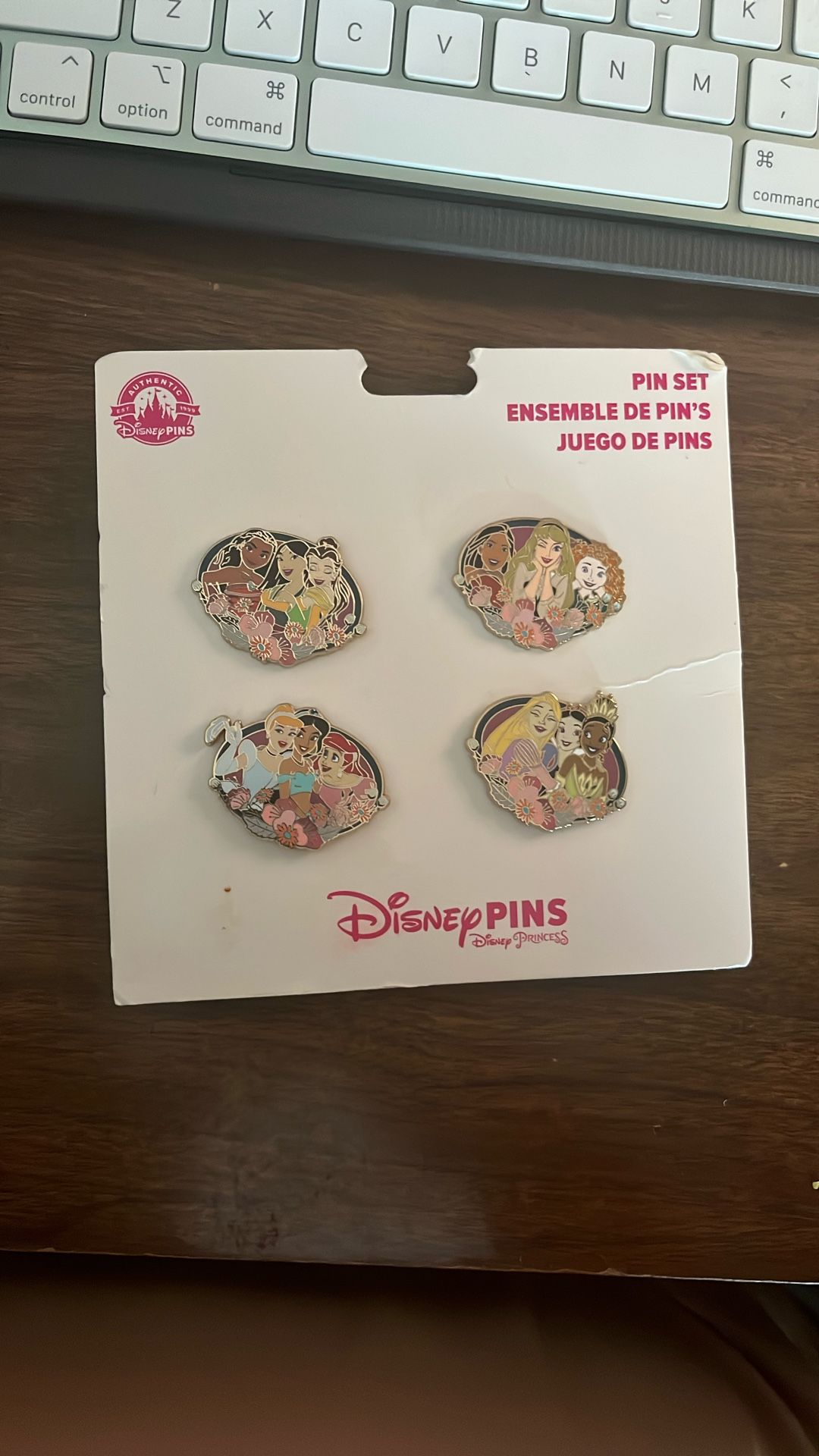 Disney Princess Pins Set