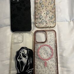 iPhone 13 Pro Max Cases 