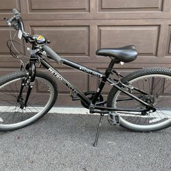 Metro Kids Bike 24