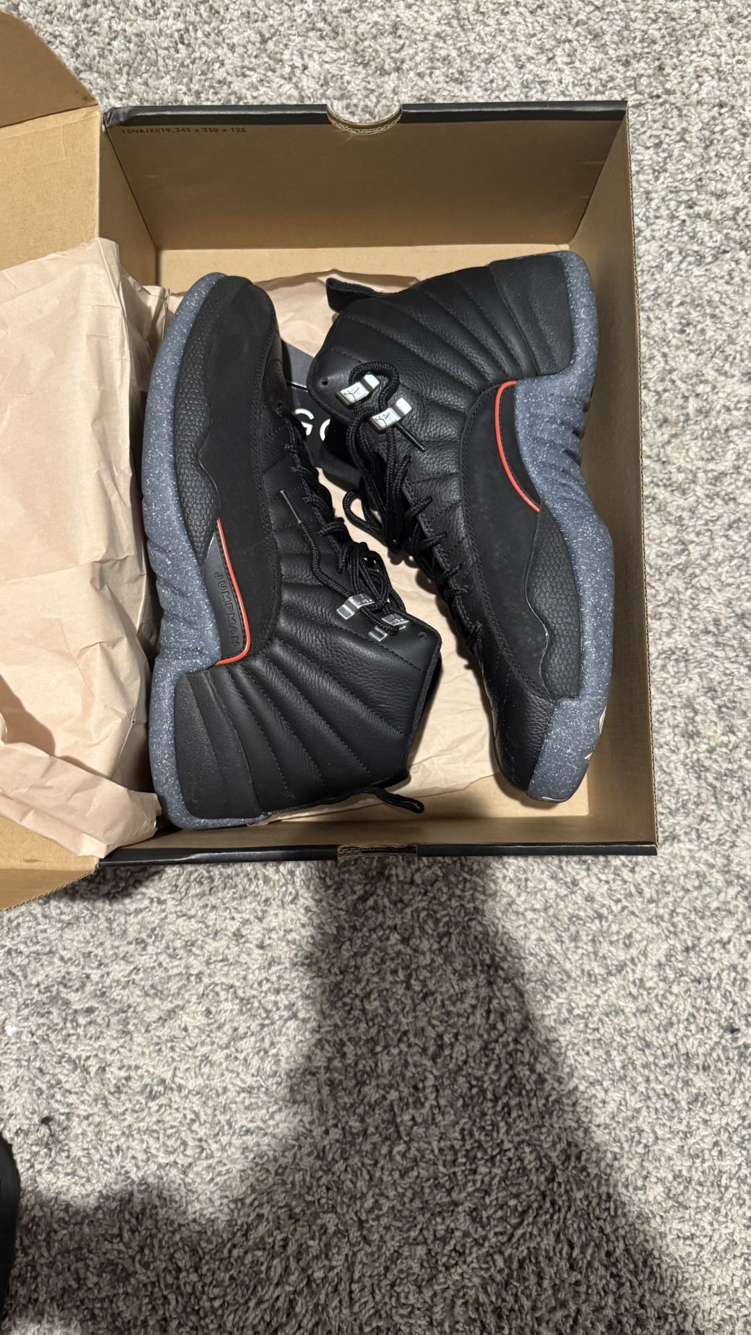 jordan 12