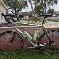 Specialized Road Bycicle