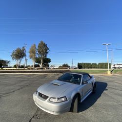 2000 Mustang GT 