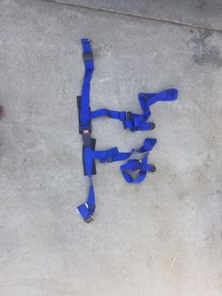 4 Point Harness Seatbelt For Buggy