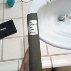 Albert Einstein World As I See It