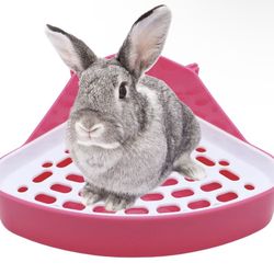 Litter Box For Guinea Pig OrRabbit 