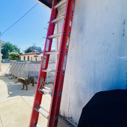 Werner 16ft Ladder (LA📍90022)