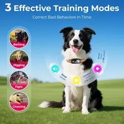 Training Collar for Dogs with Light