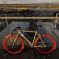 Sole Fixed Gear Bicycle 