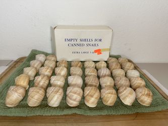Escargot Snails Empty Extra Large Shells - 36 Shells - NOS