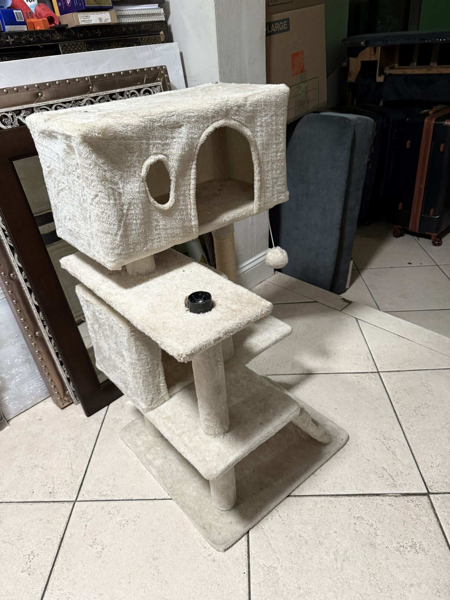 White Cat Stand House