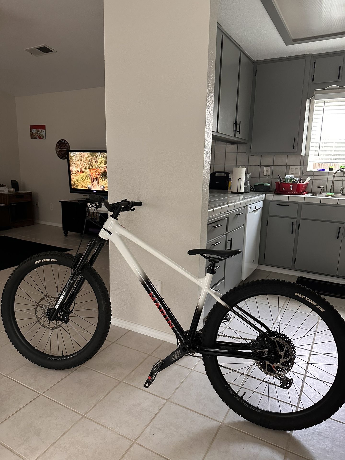 2023 Marin San Quentin 3 (XL)