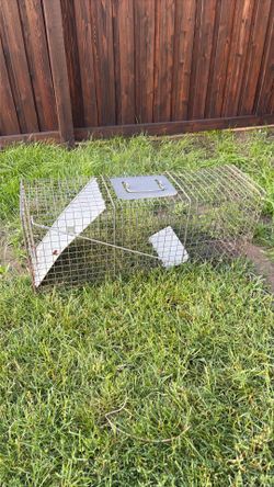 Live animal trap