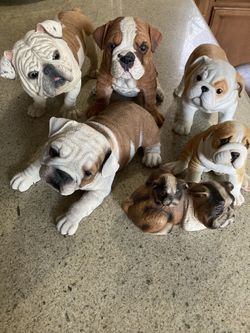 Statues  Bull dog 