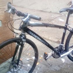 DIAMOND BACK INSIGHT 2