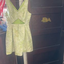 Light Green Dress