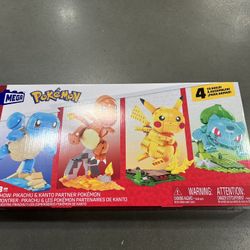 Pokémon build And show