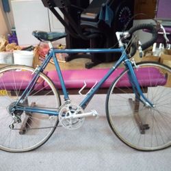 Vintage Ten Speed