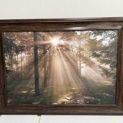  Large Framed Wall Art – Forest Scene with Sun Rays