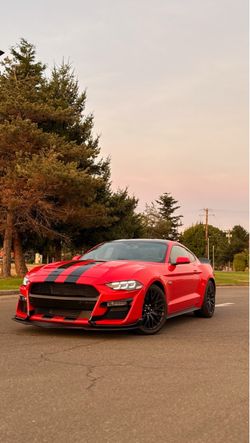 2019 Ford Mustang