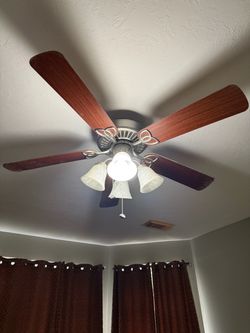 Fans $30 each