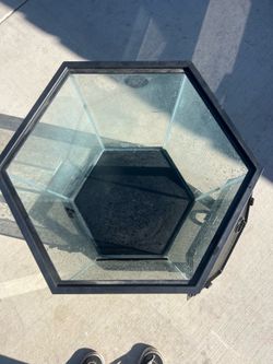20 gal hexagon vertical terrarium