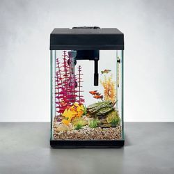 RECTANGULAR Glass Aquarium Tank with Filter and Lid