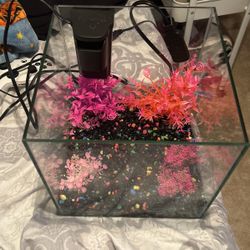 Fish Tank Complete Set Up