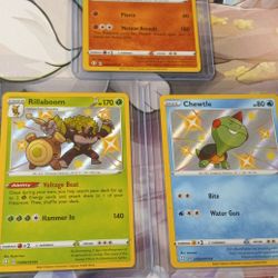 (3) Shiny Pokémon! 