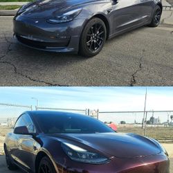 Car Wrap/ Vinyl 