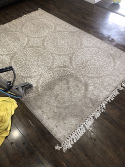 Rug cleaning