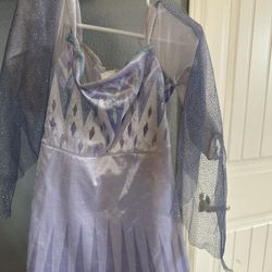 Elsa Costume 