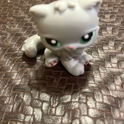 LPS Littlest Pet Shop 2005 Gray Persian Cat #82 Green Eyes Authentic