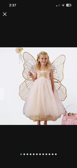 Pottery Barn Kids Pink Butterfly Fairy Halloween Costume-