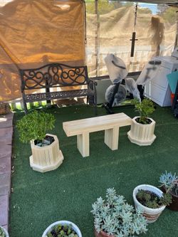 Garden, porch or office bench w/2 plants