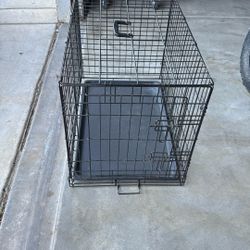 Dog Kennel 