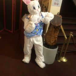 Easter Bunny Costume (Professional  Plush) Great Condition! Great Price !