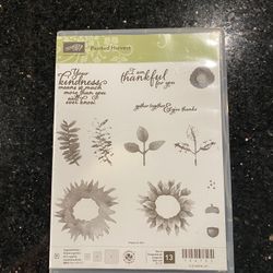 STAMPIN’ UP! Photopolymer Stamp Set: Painted Harvest