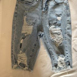 Wild  Fable Shorts