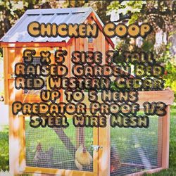  Get Free Organic Eggs  Chicken Hen  Coop For Sale 