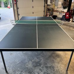 Ping Pong Table
